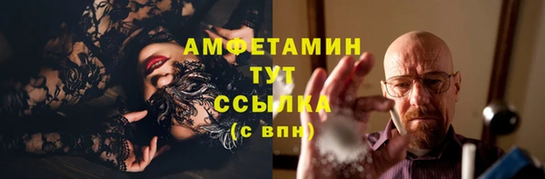 сатива Арсеньев