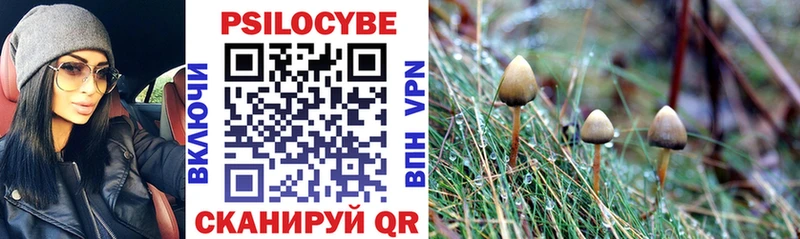наркошоп  Георгиевск  ОМГ ОМГ зеркало  Галлюциногенные грибы GOLDEN TEACHER 