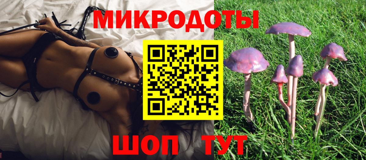Галлюциногенные грибы прущие грибы  Вход с VPN  Георгиевск 