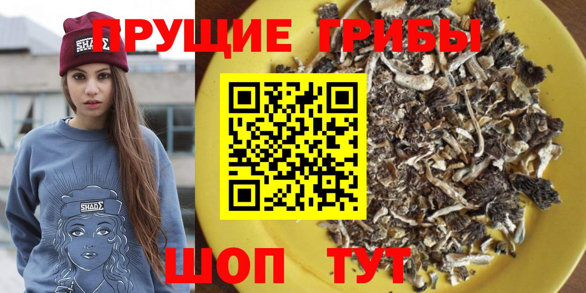 Псилоцибиновые грибы мицелий Георгиевск